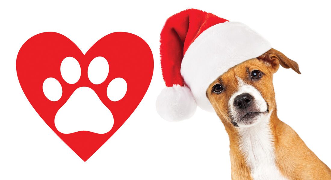 Bell Tower to host holidaythemed Yappy Hour, Dec. 9 News, Sports, Jobs Lehigh Acres Citizen